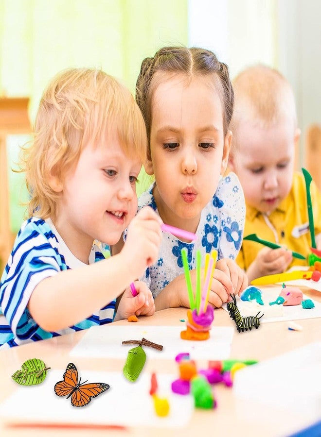 TARINI Insect Figurines Life Cycle of Butterflies Growth Model, 4 Pcs Preschool Learning Teaching Insect Growth Cycle Model Toy Realistic Animal Figures Education Stage Props - Image 4