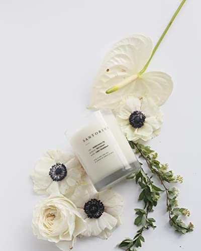Brooklyn Candle Studio Santorini Classic 2 Wick Candle - Luxury Scented Candle, Vegan Soy Wax, Hand Poured in The USA, 70 Hour Slow Burn Time - 13oz - Image 5