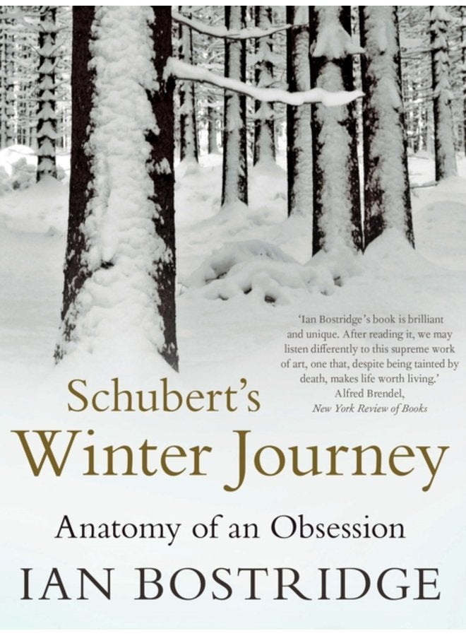 Schubert s Winter Journey Anatomy of an Obsession - Paperback
