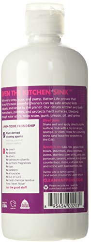 Better Life Sink Cleaner, Stainless Steel Sink Cleaner, Kitchen and Bath Scrubber, Tub and Tile scrubber, 16 Ounce, Pack of 1 - Image 2