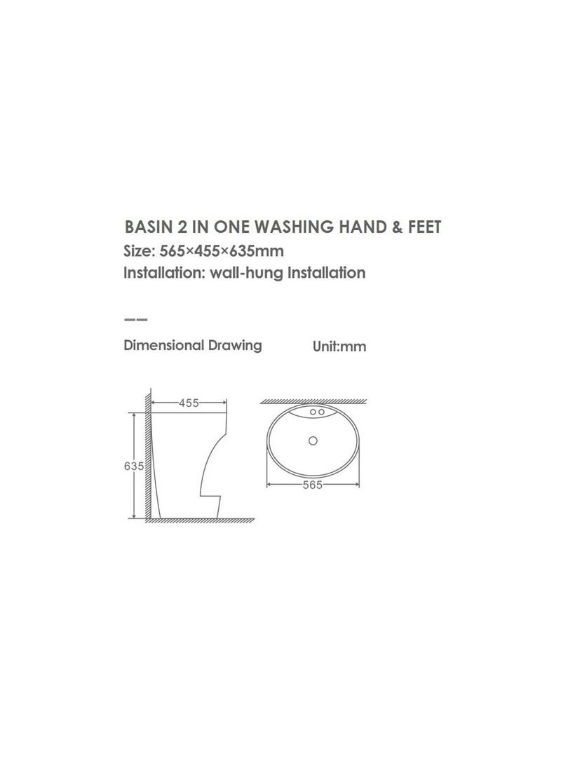 DANUBE HOME Milano Wall Hung Basin W/ Washing Feet - Made In China - Image 2