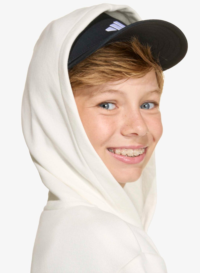 Adidas Youth Seasonals Collegiate Typography Hoodie - Image 4