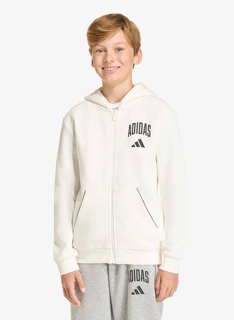 Adidas Youth Seasonals Collegiate Typography Hoodie - Image 1