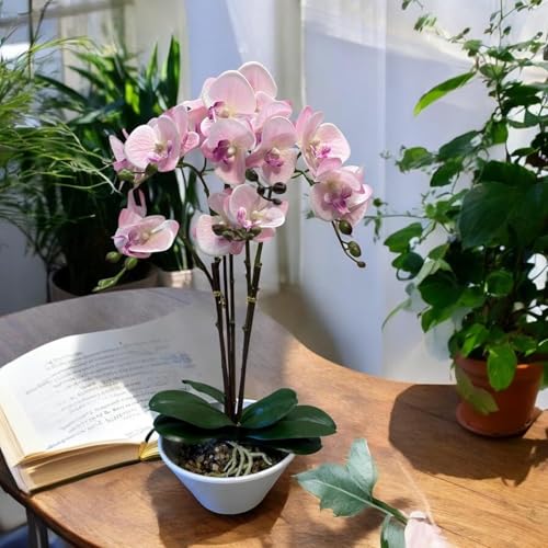 Fox & Fern Artificial 57CM Orchid Flowers in Ceramic Pot with 3 Stems, 5 Flower Sticks Orchid Bonsai Faux Phalaenopsis Plant (GAOR24-0196LP) Light Pink - Image 1