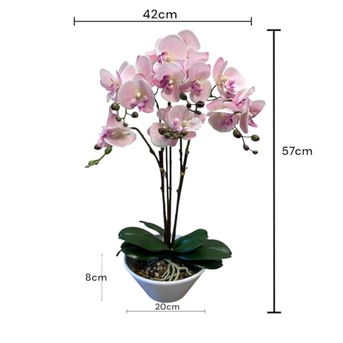Fox & Fern Artificial 57CM Orchid Flowers in Ceramic Pot with 3 Stems, 5 Flower Sticks Orchid Bonsai Faux Phalaenopsis Plant (GAOR24-0196LP) Light Pink - Image 2