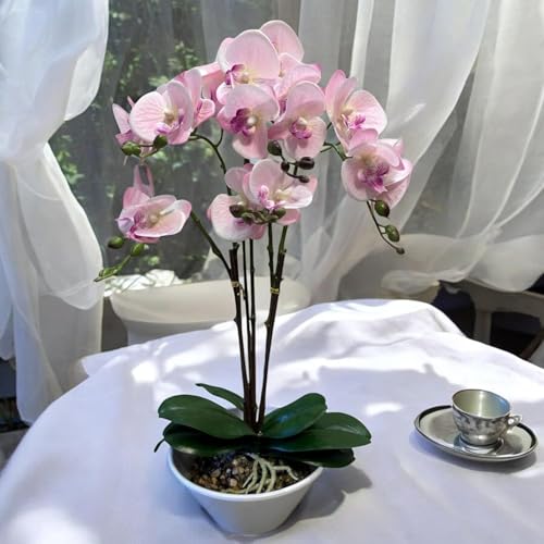 Fox & Fern Artificial 57CM Orchid Flowers in Ceramic Pot with 3 Stems, 5 Flower Sticks Orchid Bonsai Faux Phalaenopsis Plant (GAOR24-0196LP) Light Pink - Image 5