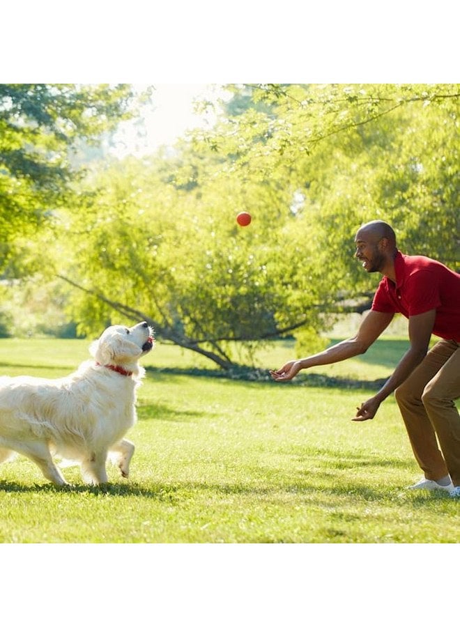 ميلك-بون بسكويت ميلك بون الأصلي متوسط الحجم للكلاب، 7 رطل. - Image 5