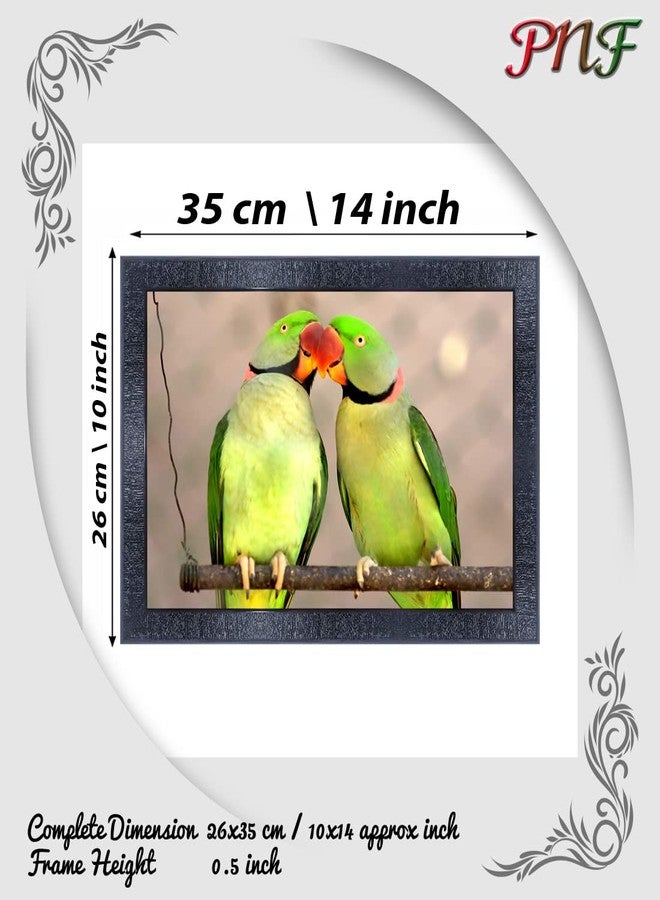pnf Poster And Frames Parrot Framed Wall Painting | For Living Room, Bedroom | Home Decoration Item | Best Gifting Option (10 * 14inch,Multicolour,Synthetic) 19501 - Image 2