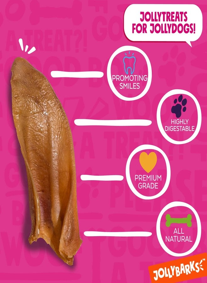 Jolly Barks Half Pig Ears for Dogs (12 Pack) – All Natural Single Ingredient Dog Chews – High Protein, Easily Digestible Pig Ear Treats – Rawhide Alternative for Small & Large Dogs - Image 3