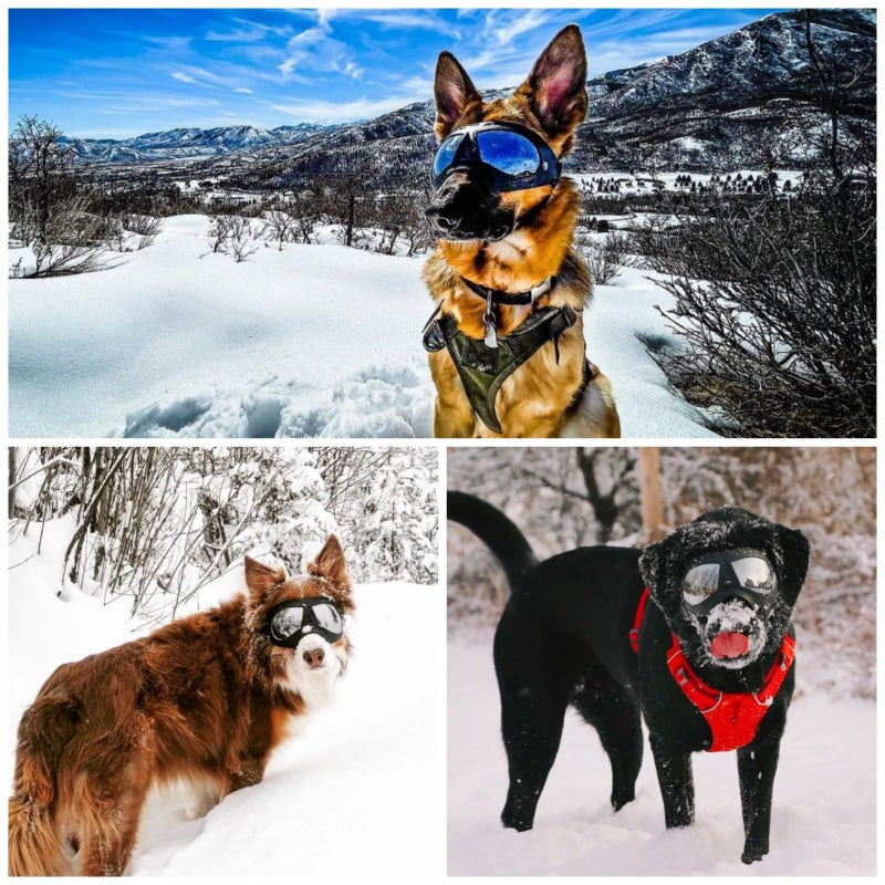 Namsan Dog Goggles for Large Dogs, Wide Snout & Soft Frame, Tactical Driving Sunglasses for Dogs Medium to Large Breed, Anti-UV Dog Eye Protection, Windproof Dustproof, Adjustable, Black - Image 5