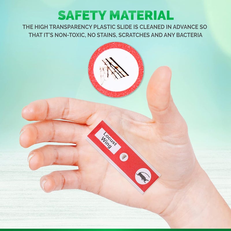 AmScope  48pc Kids Plastic Prepared Microscope Slides of Animals Insects Plants Flowers Sample Specimens for Student Microscopes  PS4P12X1A - Image 3