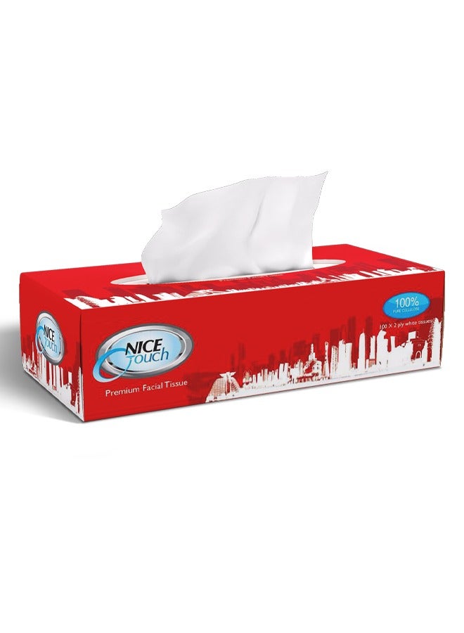 NICE Touch 2 Ply Facial Tissue, 2100 Premium Soft Sheets, 21 Packs of 100 Sheets, Slim and Compact Tissue Boxes for Car Use, 100% Cellulose - Image 2