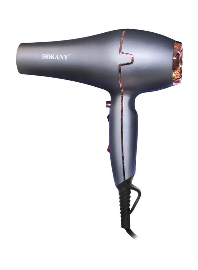 Sk-8807 Professional Hair Dryer Grey/Gold