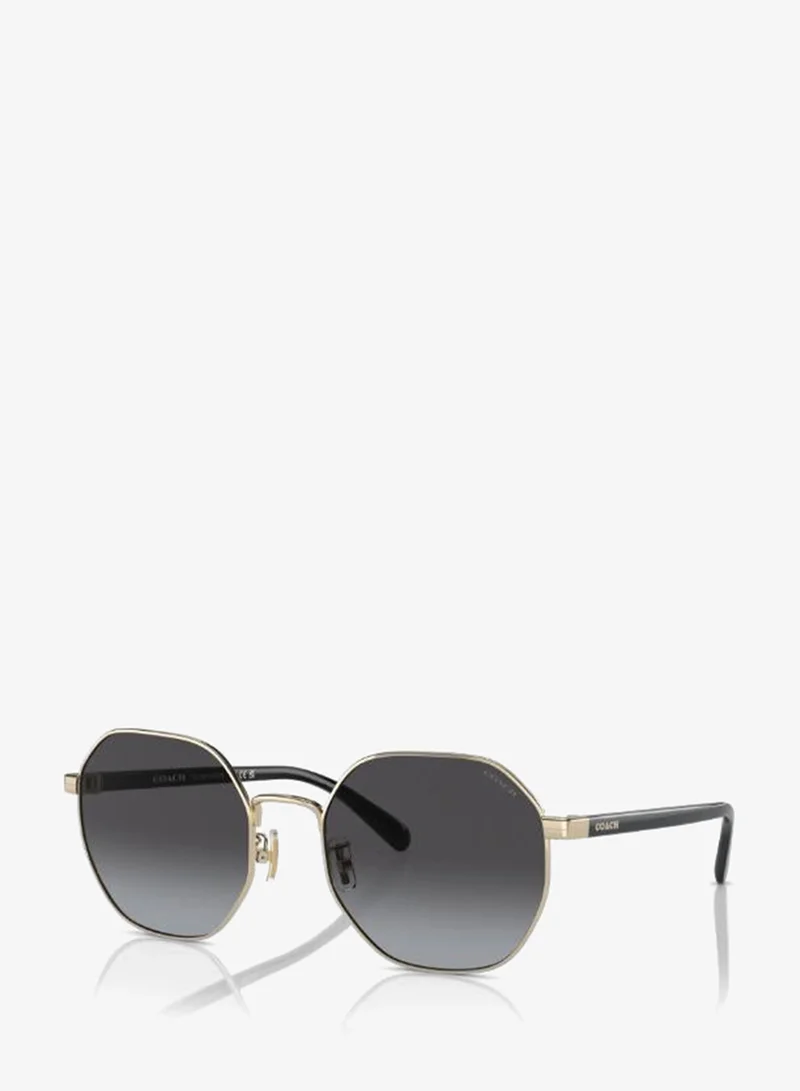 Coach  0Hc7147 Round Sunglasses for Women | Best Price UAE