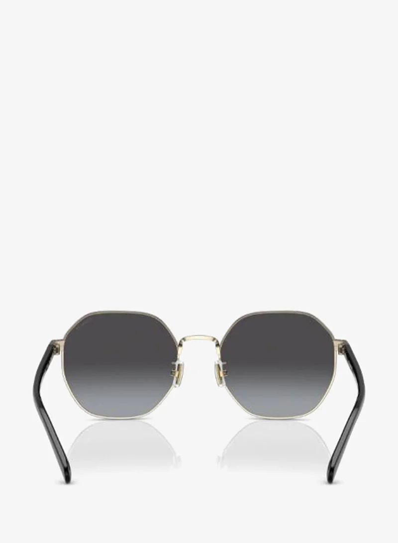 Coach  0Hc7147 Round Sunglasses for Women | Best Price UAE