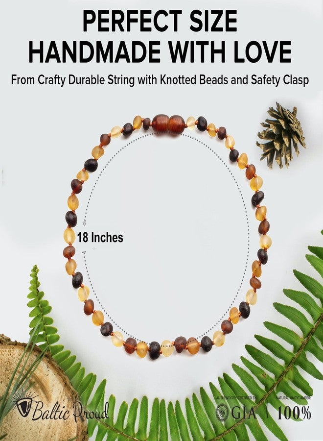 Baltic Proud Amber Necklace for Women and Men (Authentic, Certified) - 18 inches, Multi Raw (Unpolished) - Unisex Amber Jewelry for Adults - Bead Necklace - Image 2