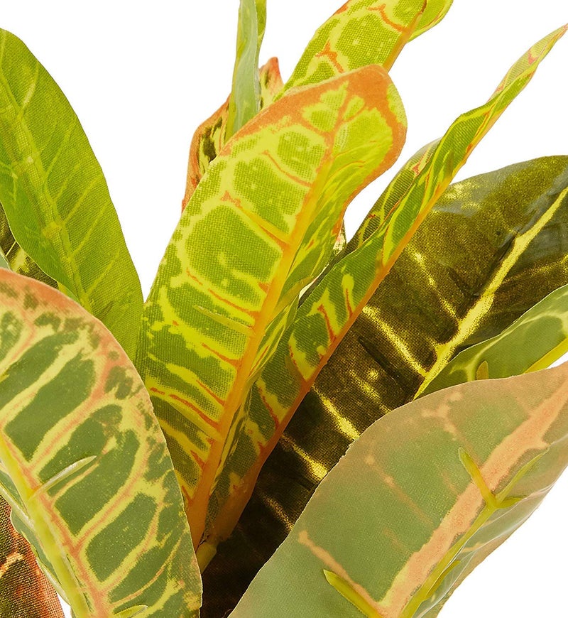 Fourwalls Artificial Croton Plant Stems for Home Decoration (35 cm, Set of 3, no Pot) - Image 5