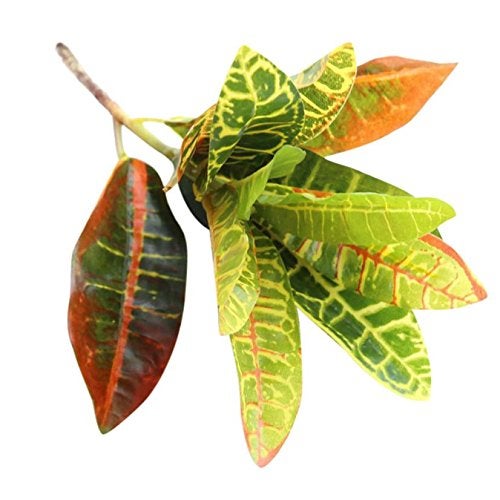 Fourwalls Artificial Croton Plant Stems for Home Decoration (35 cm, Set of 3, no Pot) - Image 4