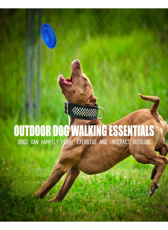 Andiker Squeaky Dog Toy, Safe TPR Chewable Dog Toys for Teeth Grinding&Cleaning Dog Fetch Toys for Enhancing Interactivity Outdoor Suitable for All Dog Sizes Puppy’s Gifts and Dog Lovers (Small) - Image 5