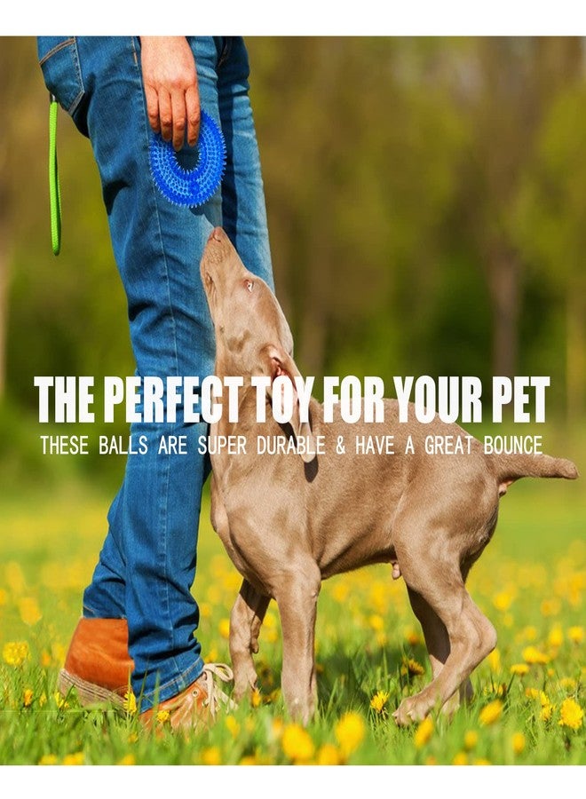 Andiker Squeaky Dog Toy, Safe TPR Chewable Dog Toys for Teeth Grinding&Cleaning Dog Fetch Toys for Enhancing Interactivity Outdoor Suitable for All Dog Sizes Puppy’s Gifts and Dog Lovers (Small) - Image 4