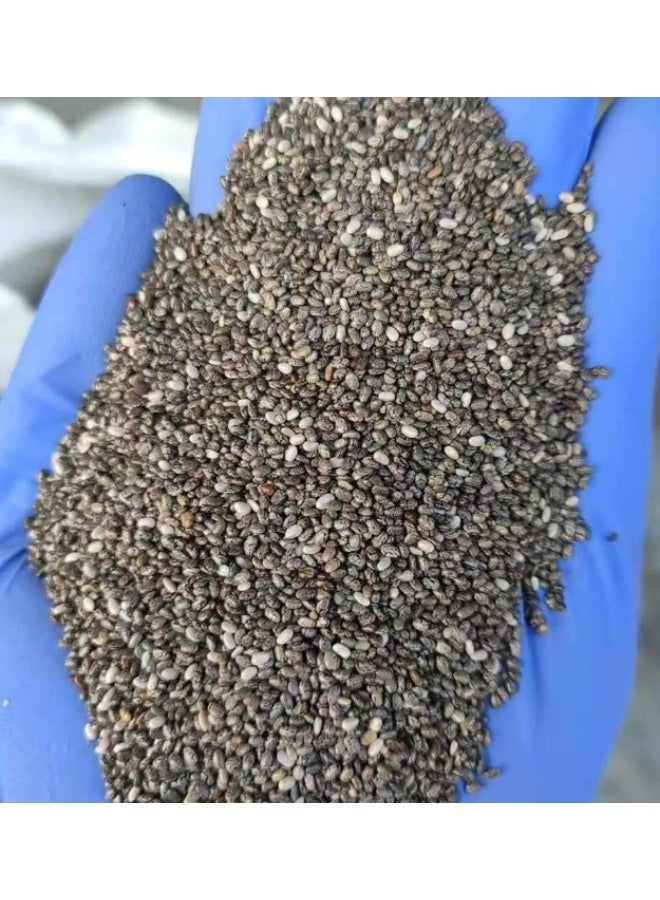 2000 بذرة صغيرة من بذور الشيا لإنبات بذور حديقة الشيا - Image 3