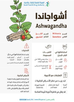 JAMJOOM PHARMA Ashwag Ashwagandha 300 Mg 50 Capsules  - Image 3