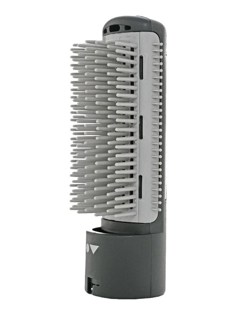 Tooth drying brush