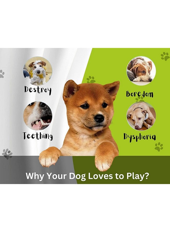 Natural Latex Rubber Squeaky Ball Dog Toy - (Claw Ball, Small) For Small Breed Dogs & Puppies | Durable, Cute Puppy Paw, Fetch & Chew Safe Play Toy | Reduces Separation Anxiety - Image 4