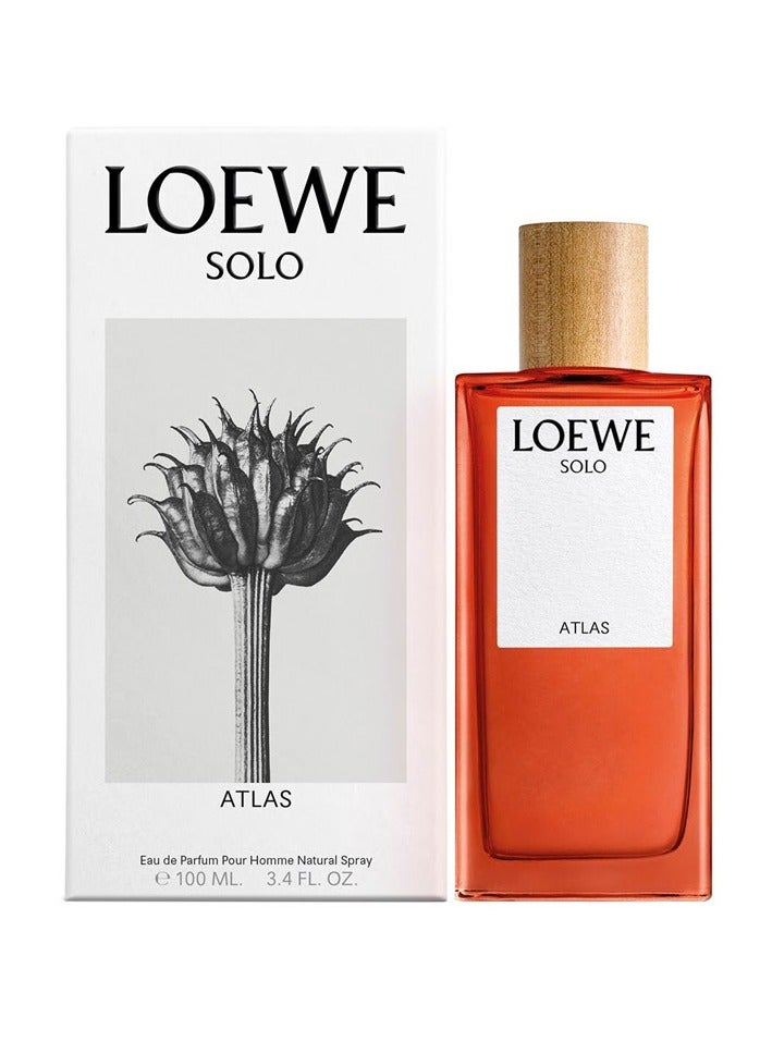 LOEWE Solo Atlas Eau De Parfum 100ml - Image 2