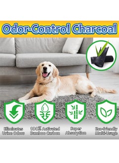 Odor Control Super Absorbency Charcoal Puppy Pads Size 33x45 CM Leak-Proof Pet Training Pee Pads Disposable Potty Pads for Dogs Cats Rabbits - pzsku/Z072D016EFE3908E2974FZ/45/_/1705646106/5a04889e-c2ee-4ca6-abb4-85a982761888