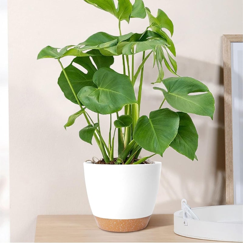 GARDIFE Plant Pots Set of 2 Pack 8 inch,Planters for Indoor Plants with Drainage Holes, Modern Decorative Flower Pots for All House Plants, Flowers, White - Image 4
