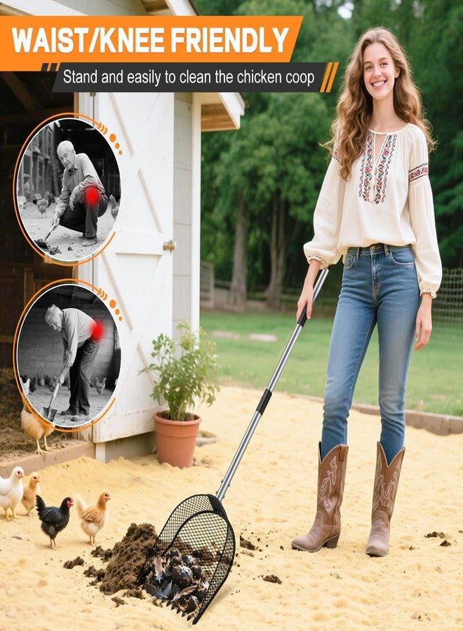 CAROD Metal Chicken Coop Scooper & Rake for Poop - Image 2