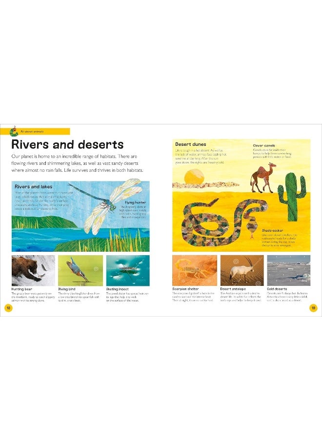 The Very Hungry Caterpillar's Very First Animal Encyclopedia  - Image 4