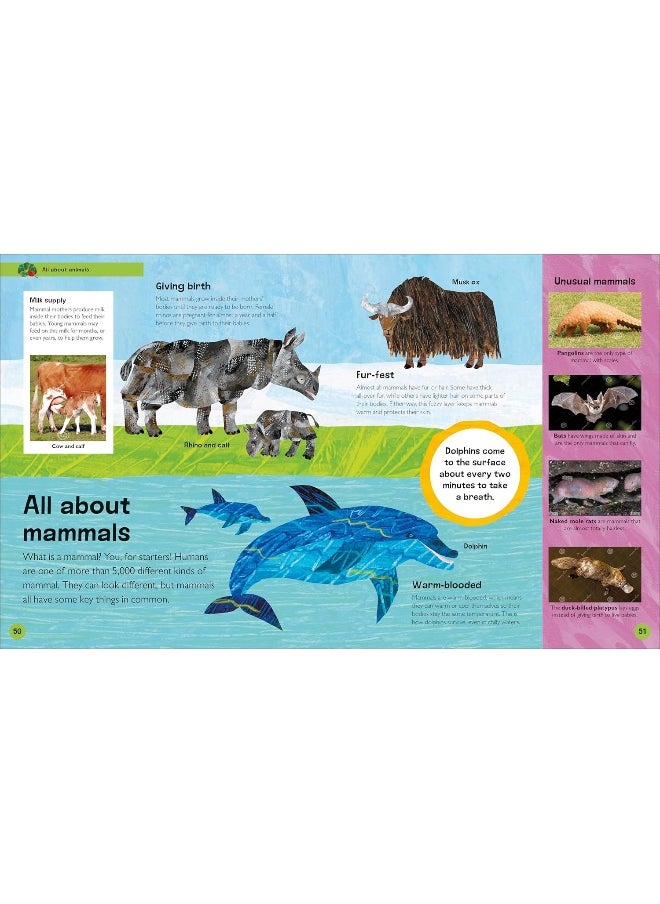 The Very Hungry Caterpillar's Very First Animal Encyclopedia  - Image 5
