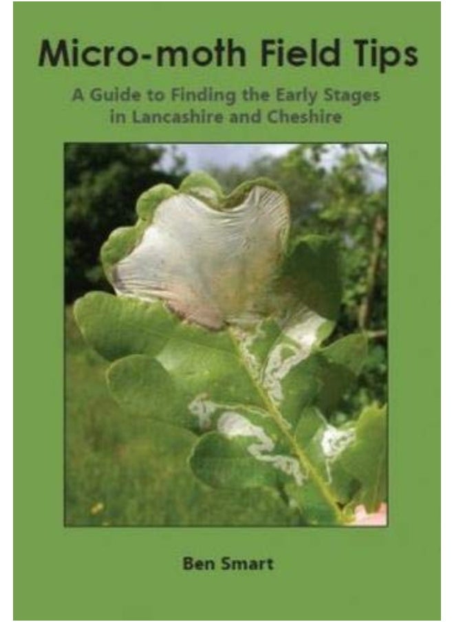 null - Micro-Moth Field Tips: A Guide to Finding the Early Stages in Lancashire and Cheshire – A Chronological Guide from January to December - Image 1