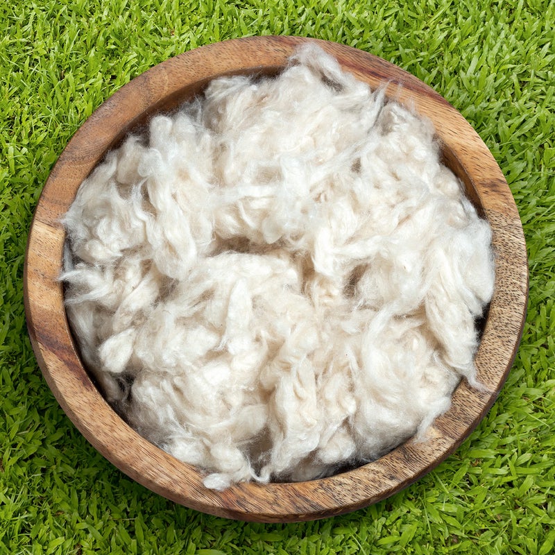 Bean Products Bean Products Premium Kapok Fill  10 lbs  100 Organic Kapok Fiber  Chemical Free and Hypoallergenic  Perfect for Pillows Pet Beds Couches  More  Made in USA 