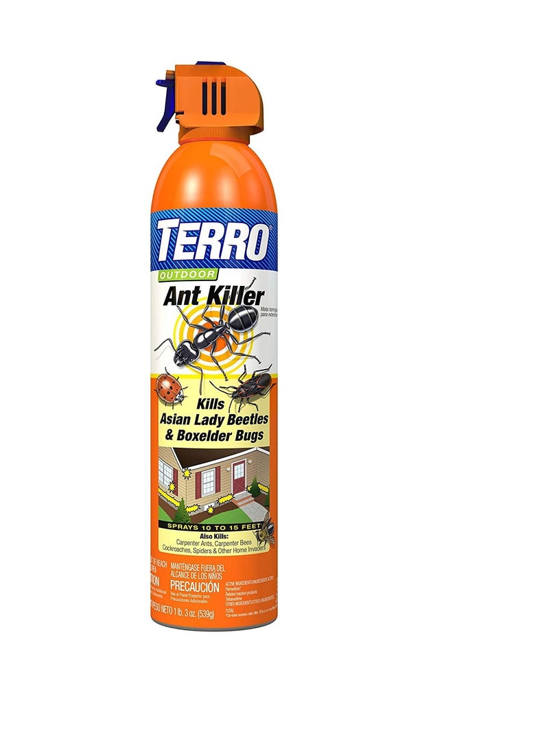 Terro TERRO Terro Outdoor Ant Killer Spray 19 oz - Image 1