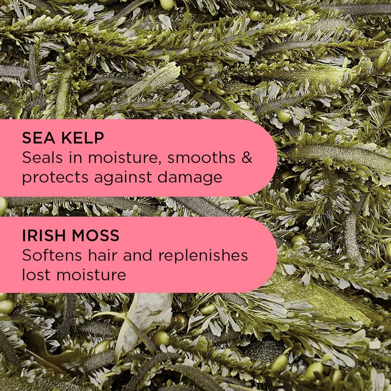 Noughty 97% Natural Hey Curl Scrunching Jelly, Hydrating Frizz Control Formula for Curly and Wavy Hair with Sea Kelp and Irish Moss, Sulfate Free Vegan Haircare 6.7fl.oz - Image 3
