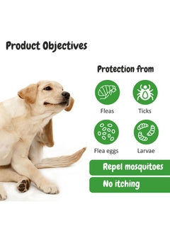 Harrods Bscly Dog Shampoo 1000 Milliliter + Paw Cream 50Gm-Ticks&Fleas Prevention-Enriched With Chamomile,Aloe&Coconut Oil-Moisturizes&Heals Skin-Suitable For Pomeranians To Golden Retrievers  - Image 4