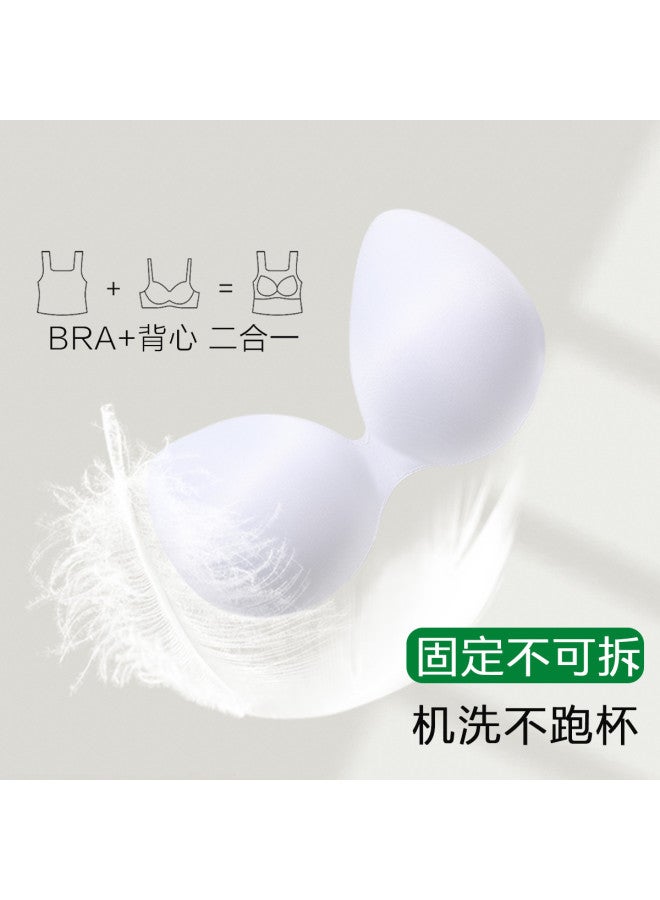 Red Bean برازليت مخطط عمودي مع وسائد مدمجة، قميص داخلي للتنسيق أو كملابس خارجية - Image 5