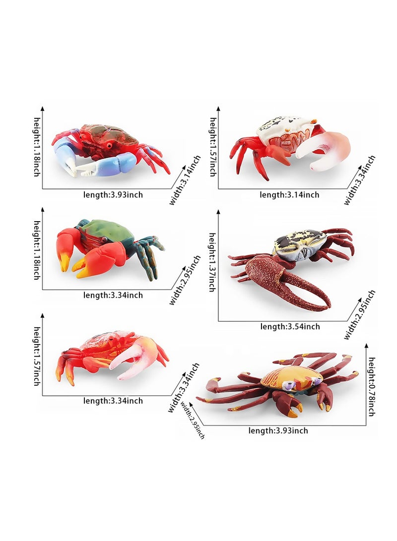 Excefore 6 قطع تمثال سلطعون واقعي، تمثال سلطعون بحري بلاستيكي، نموذج سلطعون محاكاة لوازم حفلات، زخارف لذيذة لكعك - Image 2