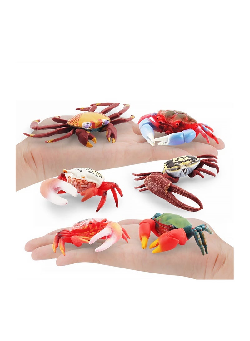 Excefore 6 قطع تمثال سلطعون واقعي، تمثال سلطعون بحري بلاستيكي، نموذج سلطعون محاكاة لوازم حفلات، زخارف لذيذة لكعك - Image 3