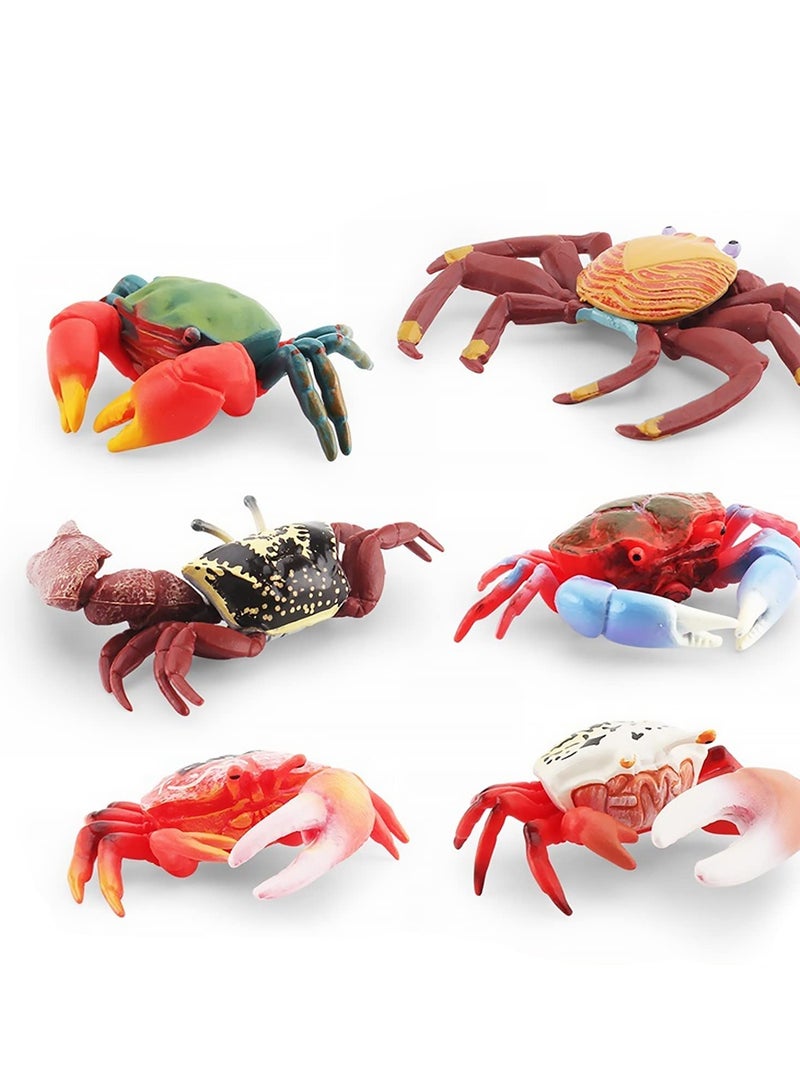 Excefore 6 قطع تمثال سلطعون واقعي، تمثال سلطعون بحري بلاستيكي، نموذج سلطعون محاكاة لوازم حفلات، زخارف لذيذة لكعك - Image 4