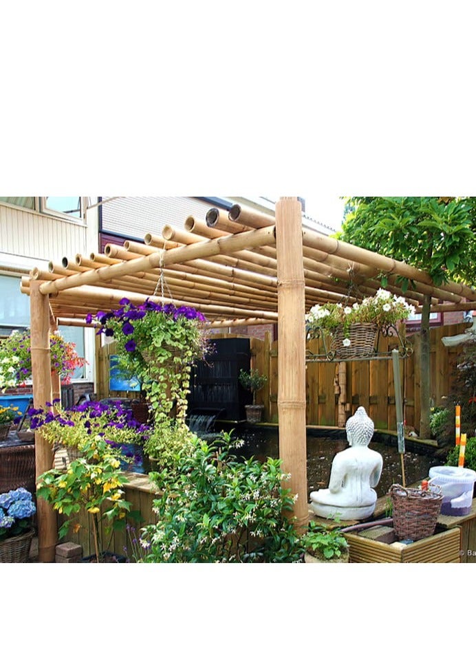Egardenkart Bamboo Pole Natural 3"-4" dia Heavy Thick Large Long Bamboo Stake for support decor Privacy fence  - Image 4