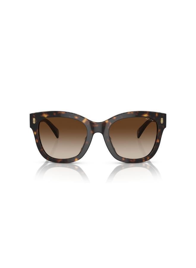 بولو رالف لورين نظارات شمسية كبيرة الحجم - Image 5