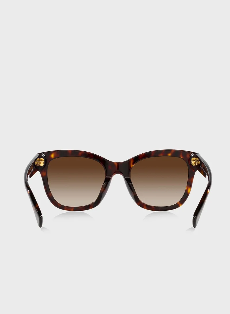 POLO RALPH LAUREN 0Ra5301U Oversized Sunglasses
