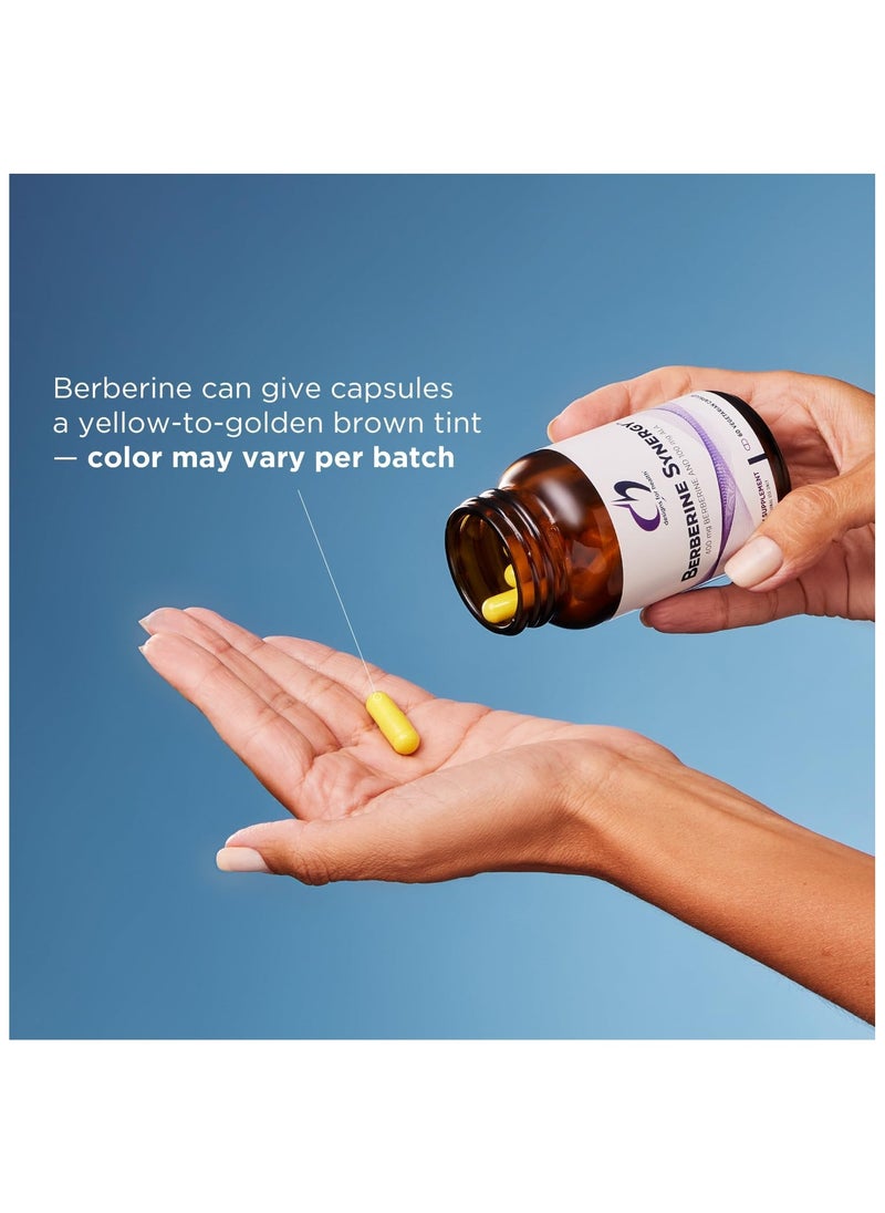 Berberine Synergy -400 mg berberine and 100 mg ALA, dietary supplement for professional use only, 60 veg. capsules