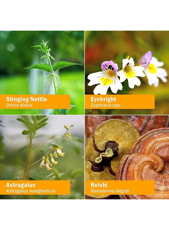 هيرب فارم تركيبة عشبية سائلة معتمدة من هيرب فارم كيدز، خالية من الكحول، ساينس ساموراي، عضوية، 1 أونصة سائلة - Image 3