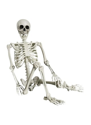 Bone