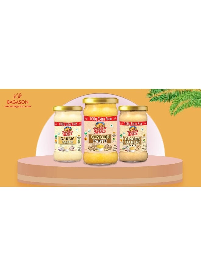 India Mills INDIA MILLS Ginger Garlic Paste, 400 gm  - Image 2